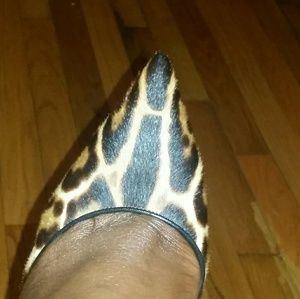 dolce and gabbana leopard heels